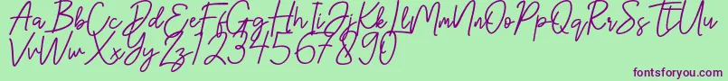 Шрифт Hanster – фиолетовые шрифты на зелёном фоне