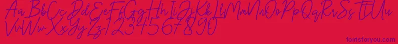 Шрифт Hanster – фиолетовые шрифты на красном фоне