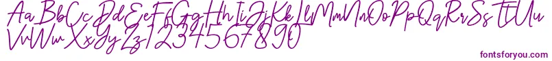 Шрифт Hanster – фиолетовые шрифты на белом фоне
