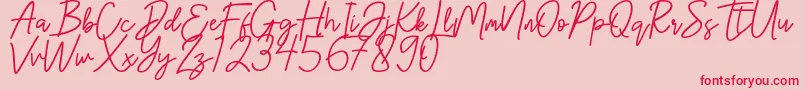 フォントHanster – ピンクの背景に赤い文字