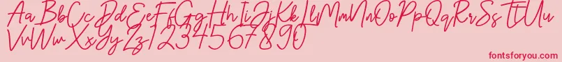 Hanster Font – Red Fonts on Pink Background