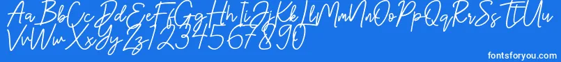 Hanster-Schriftart – Weiße Schriften auf blauem Hintergrund