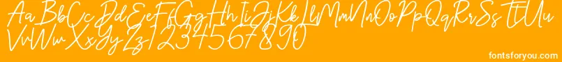 Hanster Font – White Fonts on Orange Background