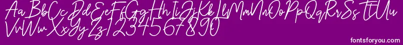Шрифт Hanster – белые шрифты на фиолетовом фоне