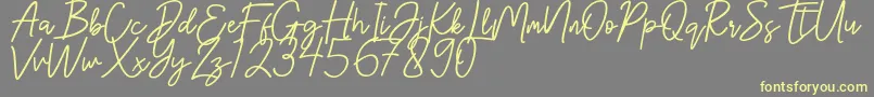 Hanster Font – Yellow Fonts on Gray Background