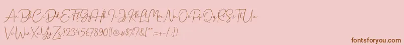 fuente Hanston Demo – Fuentes Marrones Sobre Fondo Rosa