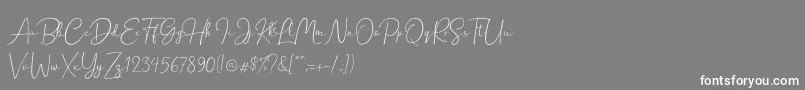 Hanston Demo Font – White Fonts on Gray Background