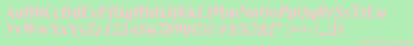 DenverserialHeavyItalic Font – Pink Fonts on Green Background