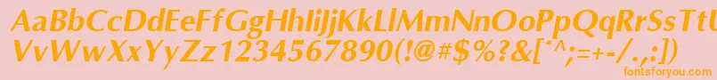 OmniBoldItalic Font – Orange Fonts on Pink Background