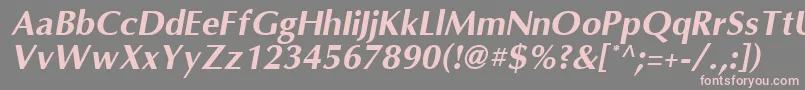 OmniBoldItalic Font – Pink Fonts on Gray Background