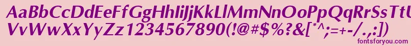 OmniBoldItalic Font – Purple Fonts on Pink Background