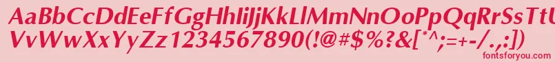 OmniBoldItalic Font – Red Fonts on Pink Background