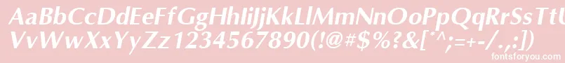 OmniBoldItalic Font – White Fonts on Pink Background