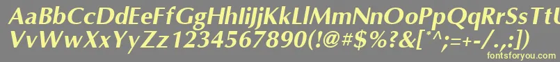 OmniBoldItalic Font – Yellow Fonts on Gray Background