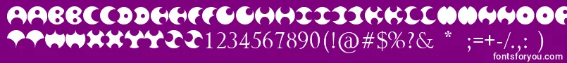 Happy Roxy Font – White Fonts on Purple Background