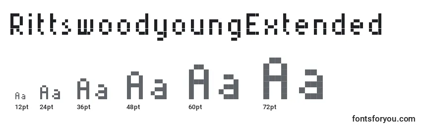 RittswoodyoungExtended Font Sizes