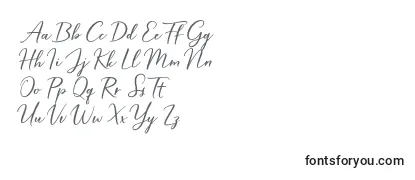 Review of the Hardwired Script Free Font