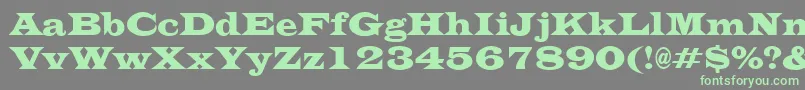 EvitacondensedRegular Font – Green Fonts on Gray Background