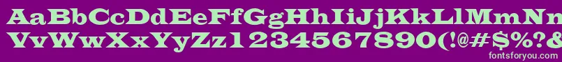 EvitacondensedRegular Font – Green Fonts on Purple Background