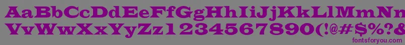 EvitacondensedRegular Font – Purple Fonts on Gray Background