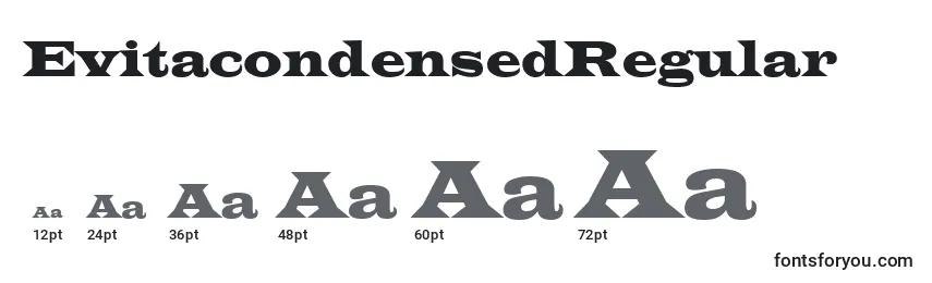 EvitacondensedRegular Font Sizes