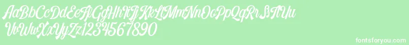 Harlend Demo Font – White Fonts on Green Background