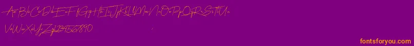 Harmony Font – Orange Fonts on Purple Background