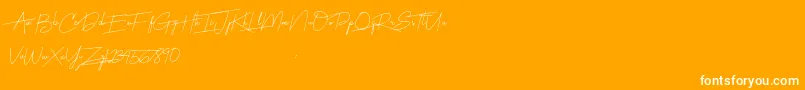 Harmony-Schriftart – Weiße Schriften auf orangefarbenem Hintergrund