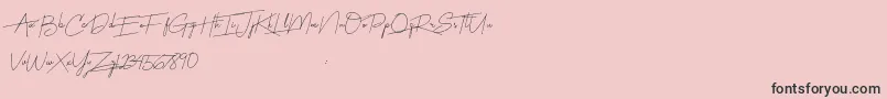 Harmony Font – Black Fonts on Pink Background