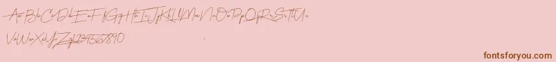 Harmony Font – Brown Fonts on Pink Background
