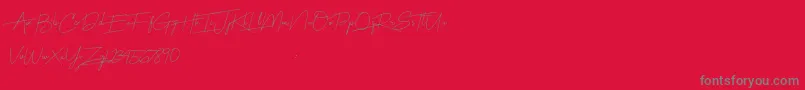 Harmony Font – Gray Fonts on Red Background