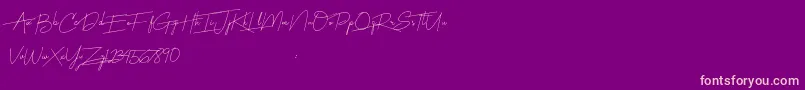 Harmony Font – Pink Fonts on Purple Background