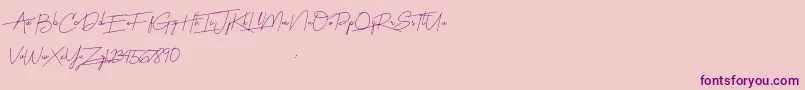 Harmony Font – Purple Fonts on Pink Background