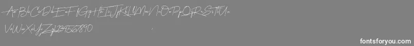 Harmony Font – White Fonts on Gray Background