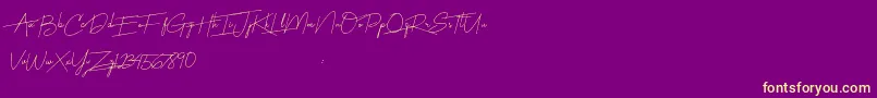 Harmony Font – Yellow Fonts on Purple Background