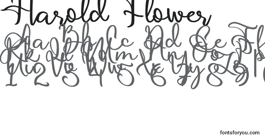 Harold Flower-fontti – aakkoset, numerot, erikoismerkit