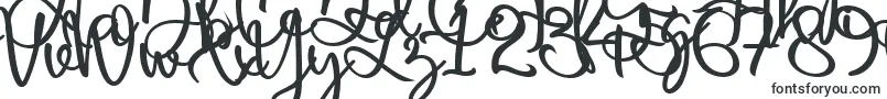 Шрифт Harold Flower – каллиграфические шрифты