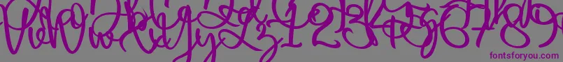 Harold Flower Font – Purple Fonts on Gray Background