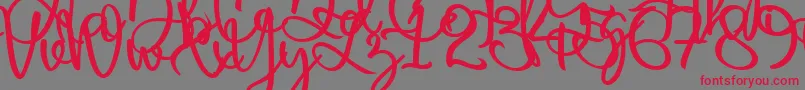 フォントHarold Flower – 赤い文字の灰色の背景