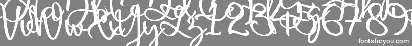 Harold Flower Font – White Fonts on Gray Background