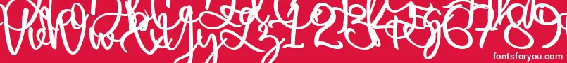 Harold Flower Font – White Fonts on Red Background
