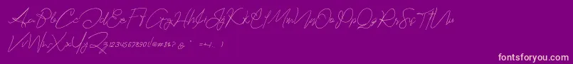 Hartford Demo Font – Pink Fonts on Purple Background