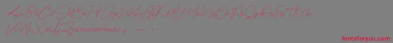 Hartford Demo Font – Red Fonts on Gray Background