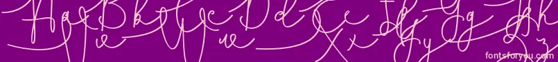 Hasnita Font – Pink Fonts on Purple Background