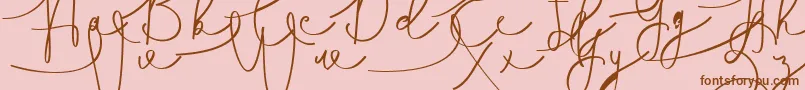 Hasnita Font – Brown Fonts on Pink Background