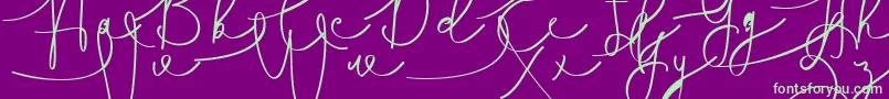 Hasnita Font – Green Fonts on Purple Background