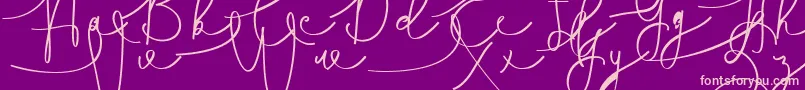 Hasnita Font – Pink Fonts on Purple Background