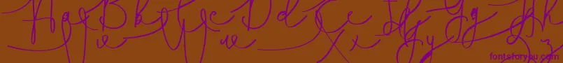 Hasnita Font – Purple Fonts on Brown Background