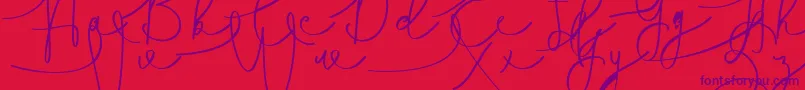 Hasnita Font – Purple Fonts on Red Background