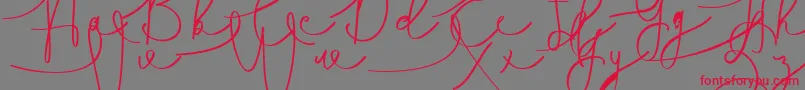 fuente Hasnita – Fuentes Rojas Sobre Fondo Gris